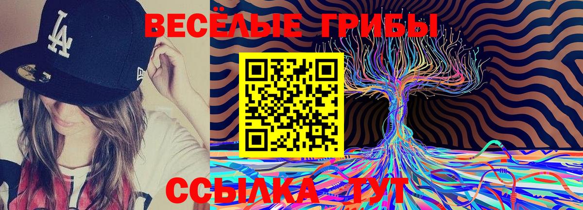 где купить наркотик  Вход с VPN  Феодосия  Галлюциногенные грибы прущие грибы 