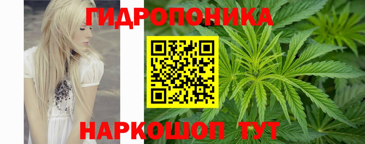 Феодосия  Конопля марихуана  Конопля Amnesia  Вход с VPN 
